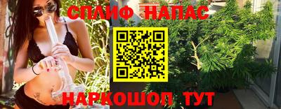 индика Тверь
